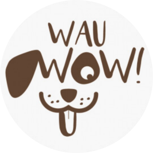 Viola Möbius Ratgeber Seminar 2025